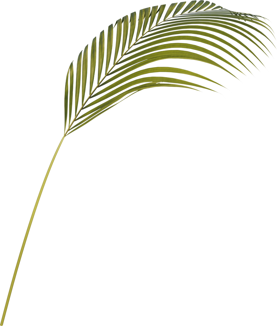 Areca Leaf Cutout